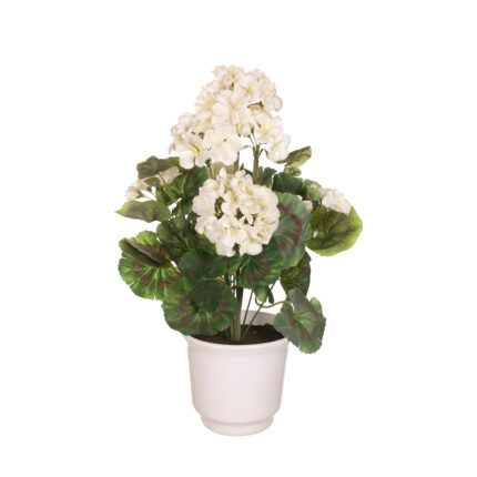 PLANTA GERANEO X9 *FUXIA