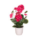 PLANTA GERANEO X9 *FUXIA