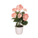 PLANTA GERANEO X9 *FUXIA