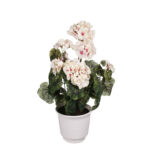 PLANTA GERANEO X9 *FUXIA