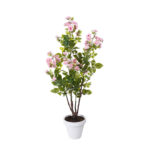 PLANTA CEREZO 1.10MT
