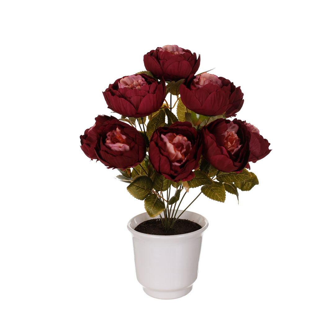 99111243-10.jpg MACETA PEONIA