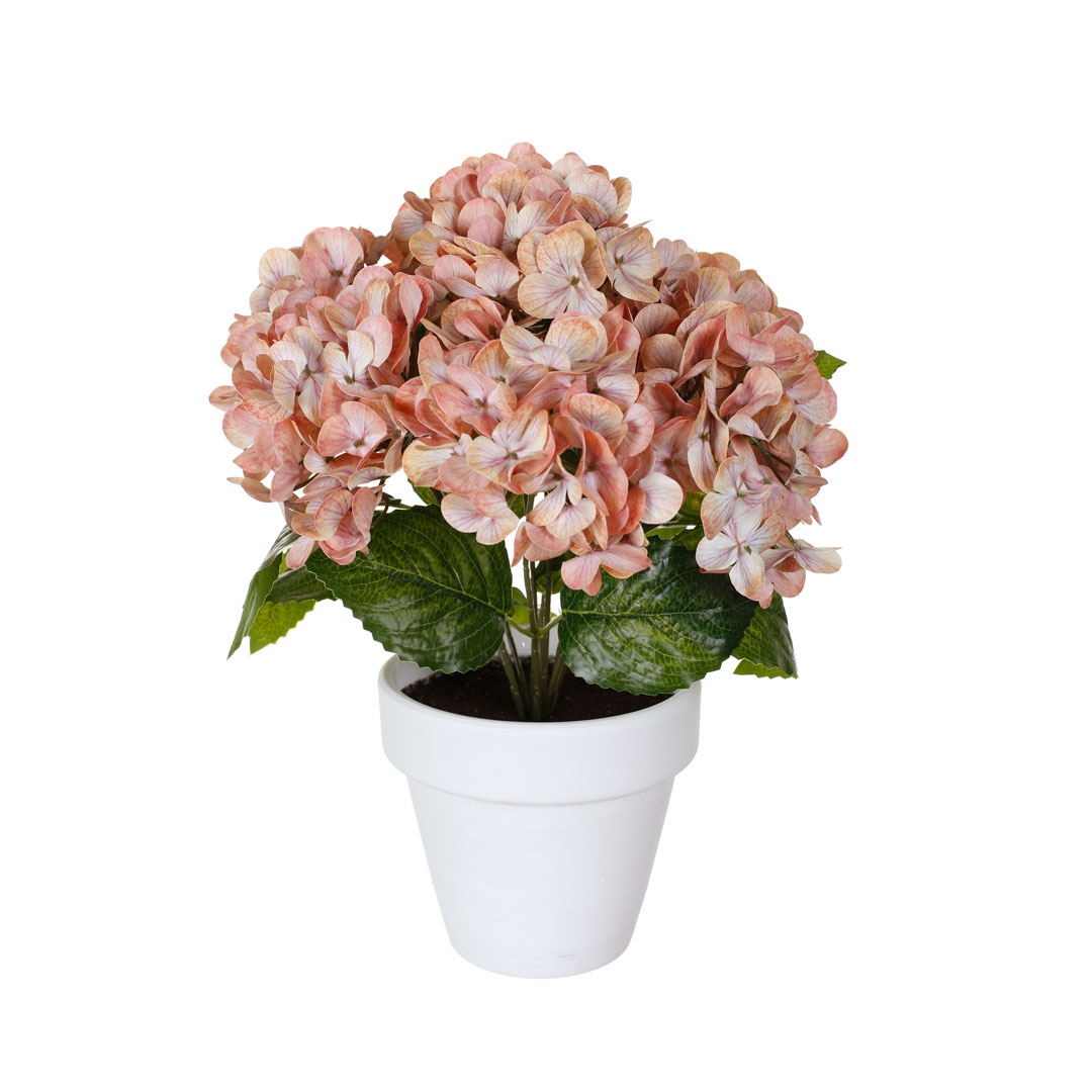PLANTA HORTENSIA TACTO NATURAL