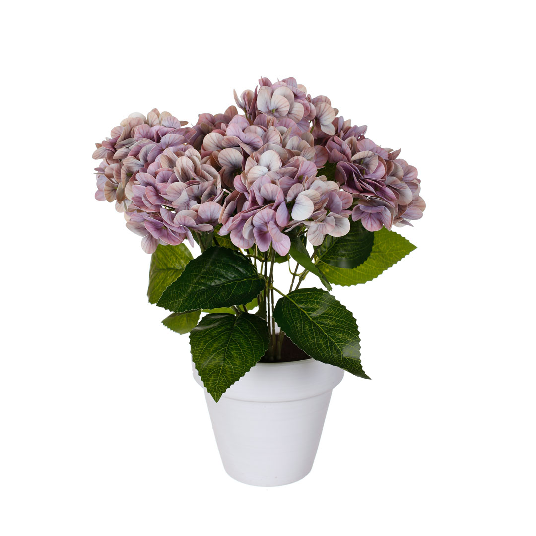 PLANTA HORTENSIA TACTO NATURAL