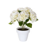 PLANTA HORTENSIA TACTO NATURAL