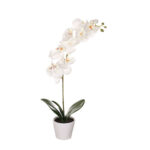 MACETITA PHALAENOPSIS *BLANCO