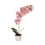 MACETITA PHALAENOPSIS *BURDEOS
