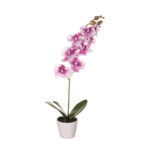 MACETITA PHALAENOPSIS *FUXIA