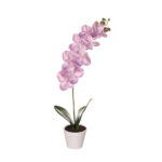 MACETITA PHALAENOPSIS *LILA