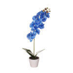 MACETITA PHALAENOPSIS *AZUL OSC.