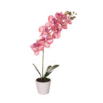 MACETITA PHALAENOPSIS *BOUGAMBILLA