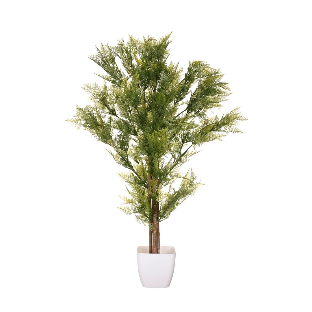 99111274-19.jpg ARBOL ESPARRAGUERA 80CM *V.OSCURO