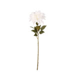 V.DALIA 72CM