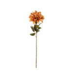 V.DALIA 72CM