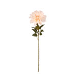 V.DALIA 72CM