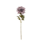 V.DALIA 72CM