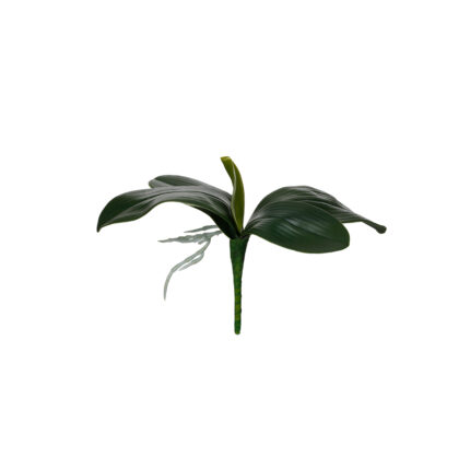 HOJA ORQUIDEA 24CM