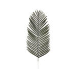 VARA HOJAS PALMERA COCOTERO