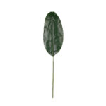 HOJA MEDIANA PLATANERA