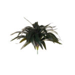 MATA DRACENA 30CM