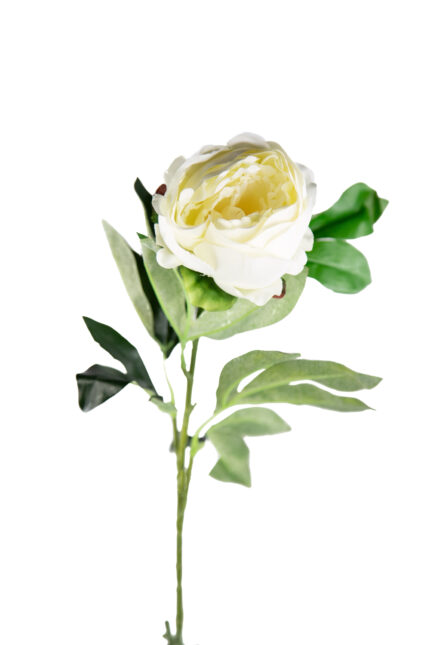 VARA PEONIA ARTIFICIAL 80CM *BLANCO