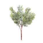 PLANTA CIPRES 30CM