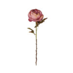 VARA PEONIA