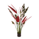 STRELITZIA REGINAE 120CM