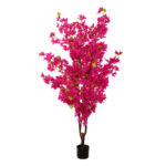 ARBOL BUGANVILLA 170CM