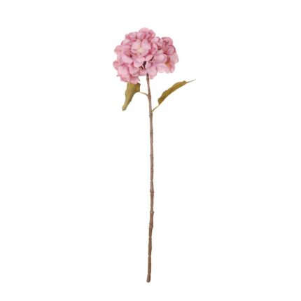 VARA HORTENSIA OTOÑAL