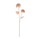 VARA ALLIUM X2 HOJAS