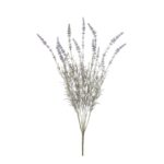R.LAVANDA LARGO