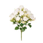 R. ROSA PLIZADA/RELLENO