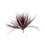MATA BUSH GRASS (18) *BURDEOS