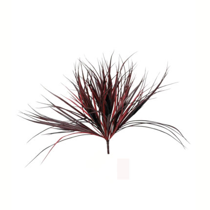 MATA BUSH GRASS (18) *BURDEOS