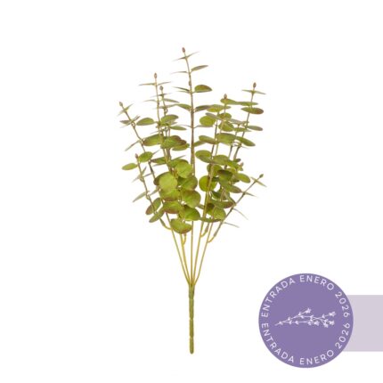 R. EUCALIPTO *V.FLOCADO