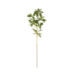 VARA DURAZNO 78CM