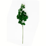 VARA HIEDRA 90CM