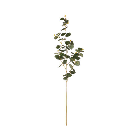 VARA EUCALIPTO 90CM