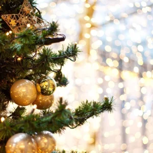 Encuentra los mejores productos para la decoración de Navidad Horeca