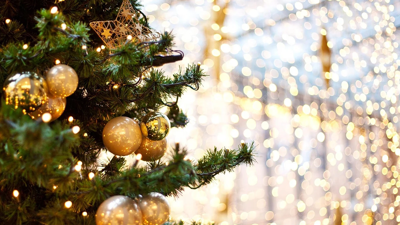 Encuentra los mejores productos para la decoración de Navidad Horeca