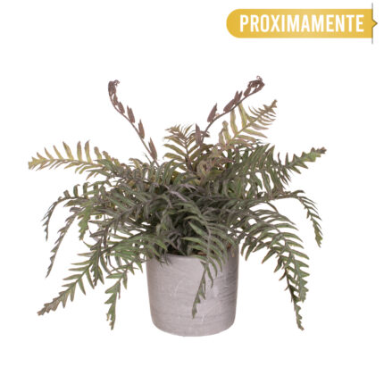 MACETA FILICOPSIDA 30CM