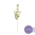 VARA EUCALIPTO 90CM