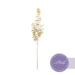 VARA EUCALIPTO 90CM