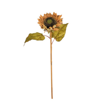 VARA GIRASOL OTOÑAL