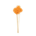 VARA RATTAN KNOT