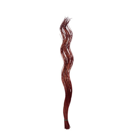 CURLY WILLOW 100CMS