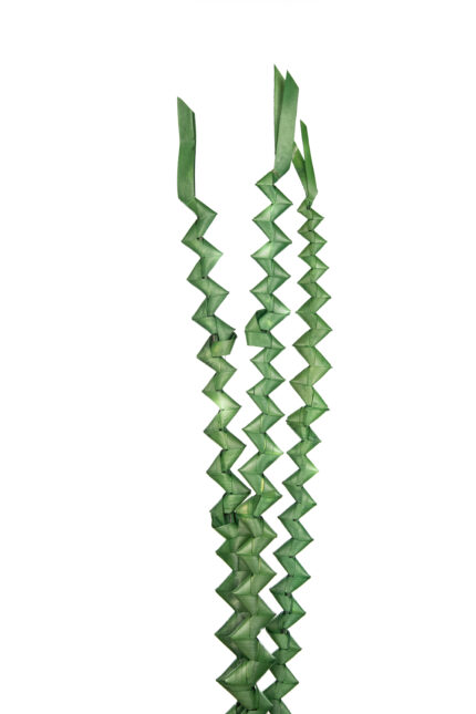 VARA DE PALMERA ZING *V.OSCURO