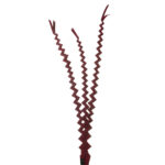 VARA DE PALMERA ZING