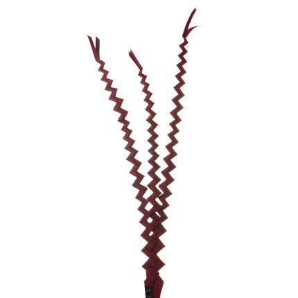 VARA DE PALMERA ZING